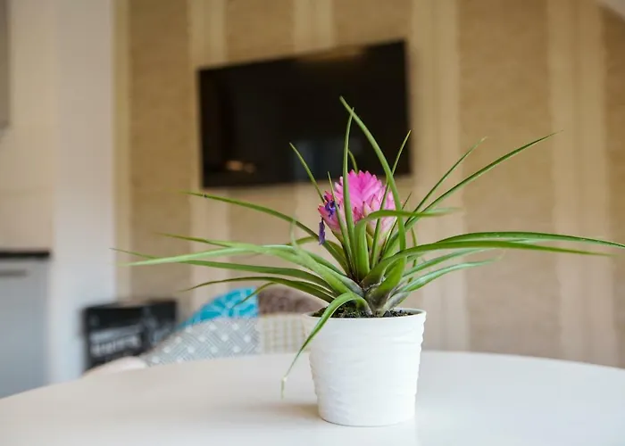 Here Nd Appartement *